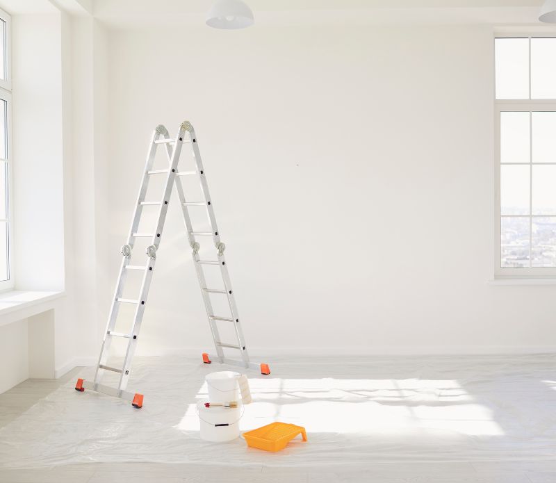 Rendering and Painting Services- BIRS Wolli Creek